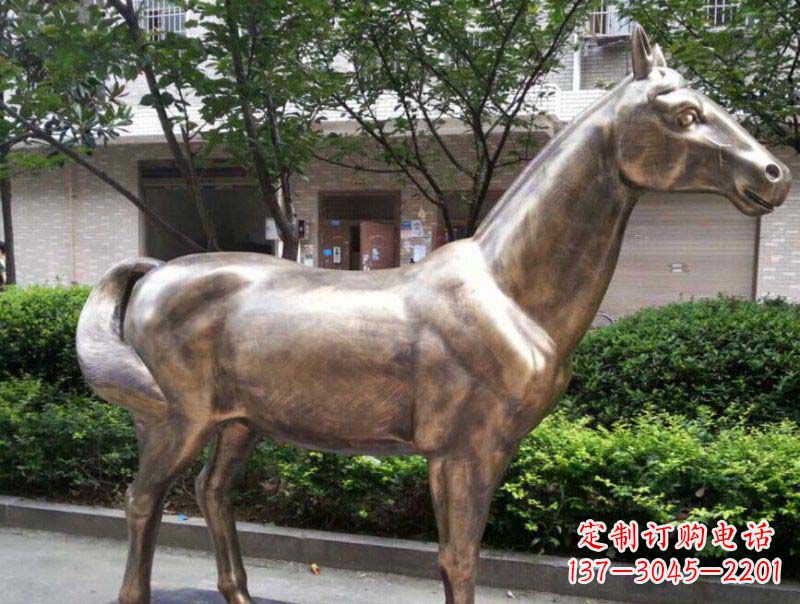 吉林公园马动物铜雕 (3)