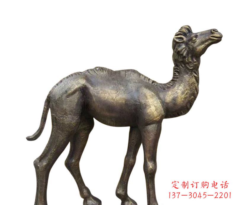 吉林奇美洁净的骆驼铜雕