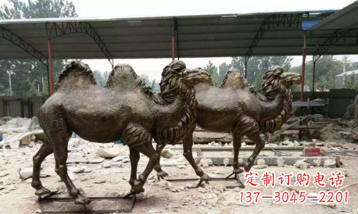 吉林典雅优美的骆驼铜雕