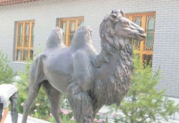 吉林精美的骆驼铜雕，提升您的公园气质