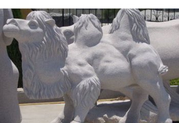 吉林艺术珍品—骆驼石雕