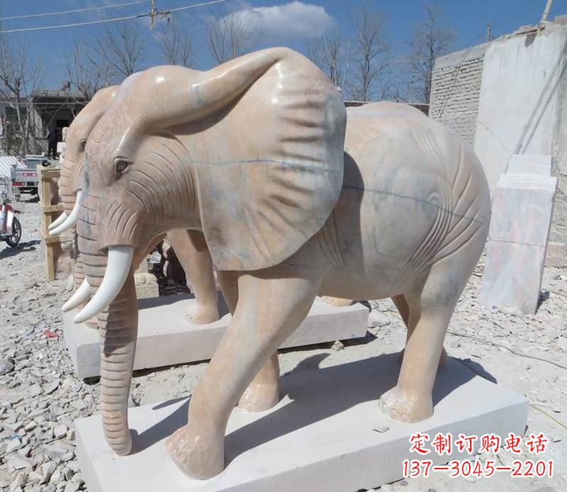吉林晚霞红卷鼻大象